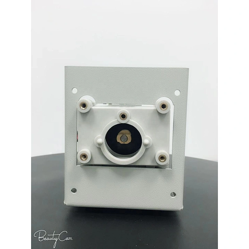 Chuangrui UCP Peristaltic Pump Hydroponics pump Liquid fertilizer transfer pump
