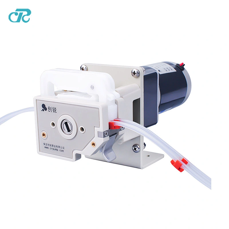 Multi-channel Small Liquid  Transfer OEM Peristaltic Pump with DG Pump Head