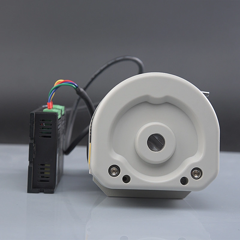 Chuangrui Customizable Peristaltic Pump For Supporting Packing Machine