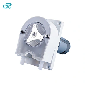 Chuangrui Small Flow OEM Flue Gas Analysis Fermentation Tanks Detergent Peristaltic Pump