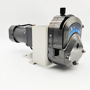 High Volume Peristaltic Pump Liquid Transfer 24v 12v DC Motor Dosing Pump 12L