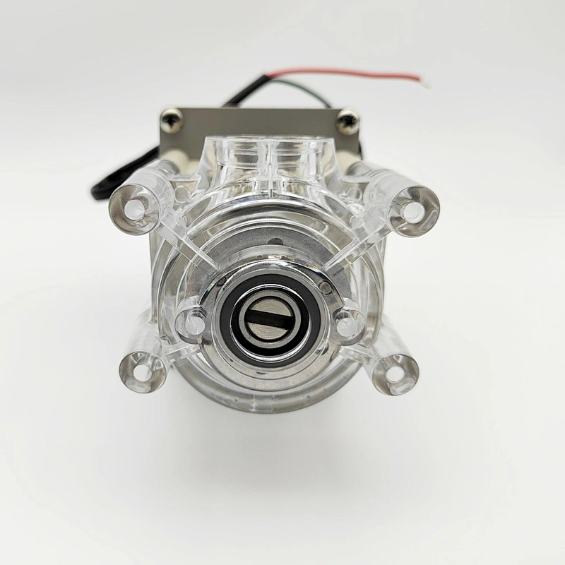 small DC 12v mini peristaltic pump for liquid transfer