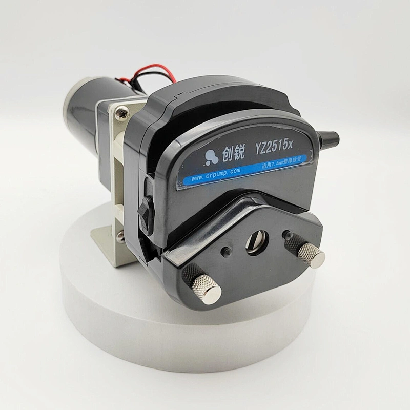 Micro small DC12V pump DC24V pump compact DC peristaltic dosing pump