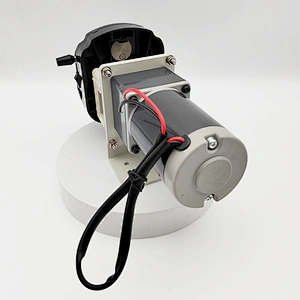 Micro small DC12V pump DC24V pump compact DC peristaltic dosing pump