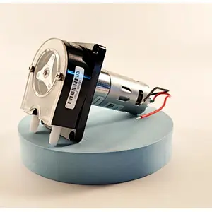 crpump DC12V 24V motor 1 liter Small dosing pump Peristaltic Pumps