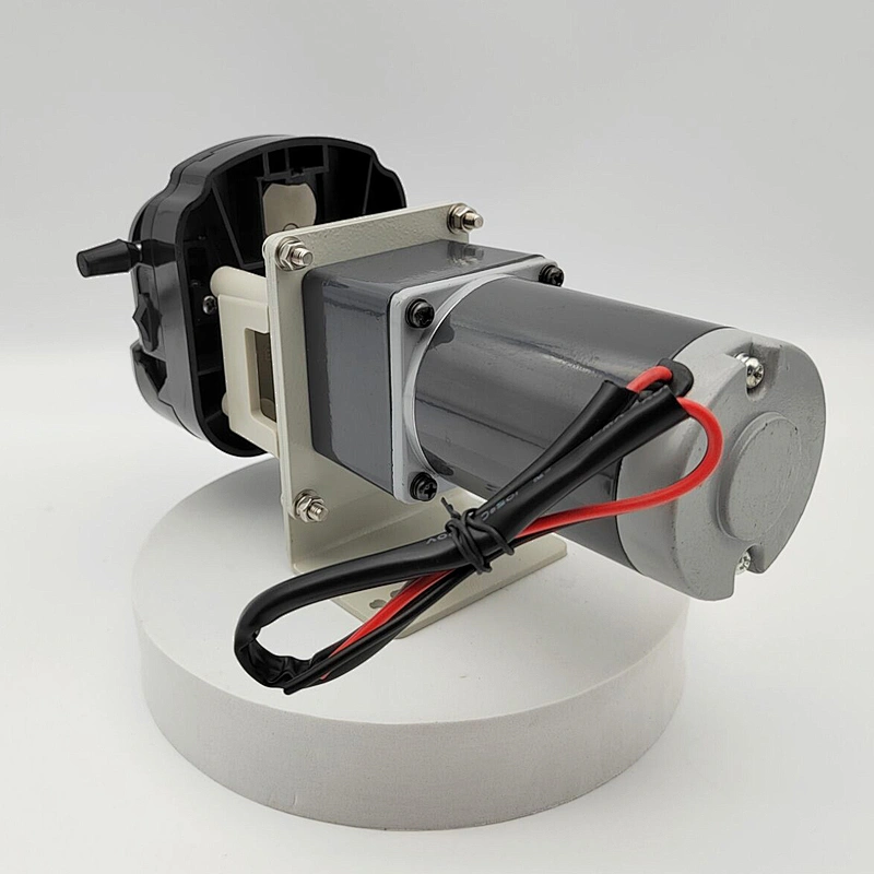 Chuangrui Small OEM 12v DC pump DIY Peristaltic water Pump For Supporting Equipment Matching