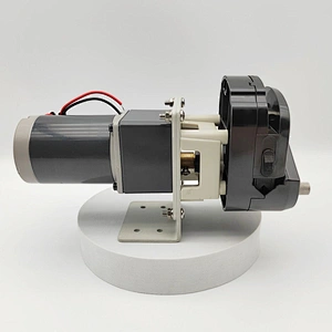 Micro small DC12V pump DC24V pump compact DC peristaltic dosing pump