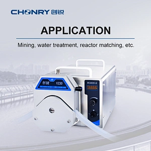 Chuangrui Digital Industrial Liquid Transfer Peristaltic Pump With Good Quality