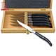 steak knife set - DAKOO