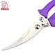 poultry scissors - DAKOO
