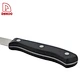 POM Handle 4Pcs Steak Knives - DAKOO