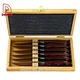 6 Pcs Steak Knife Set - DAKOO