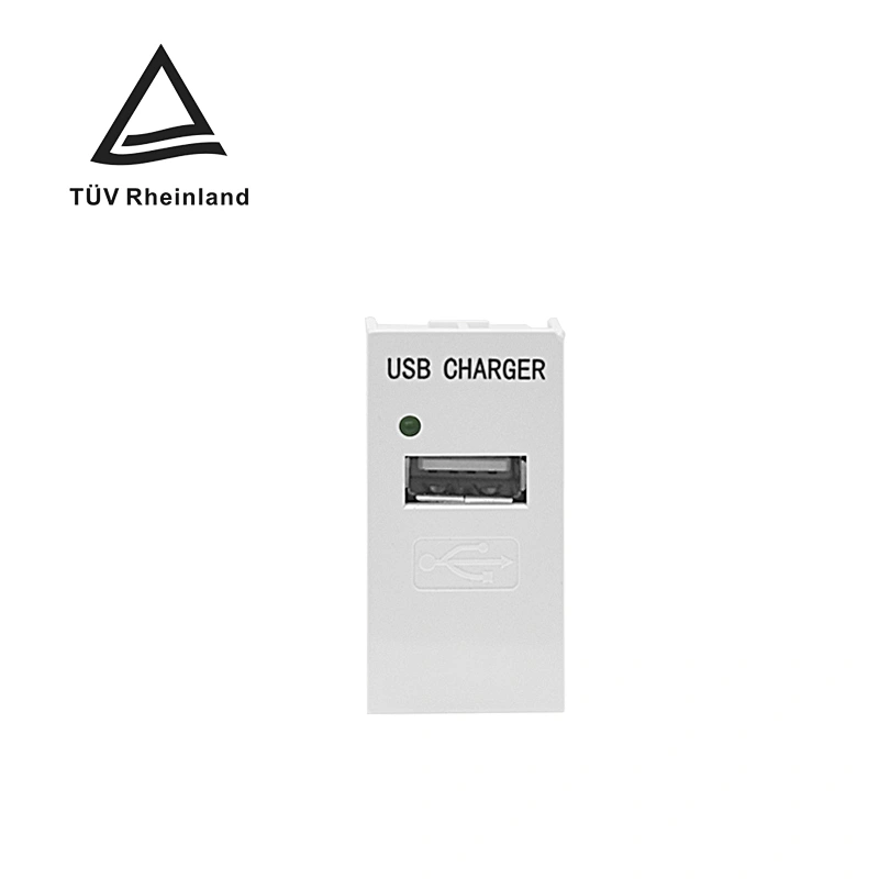 Sinoamigo F21-C2 USB Charger
