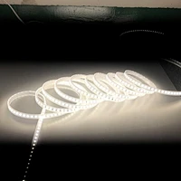 Constant current and constant voltage High Volt LED Strip 120LEDS/M