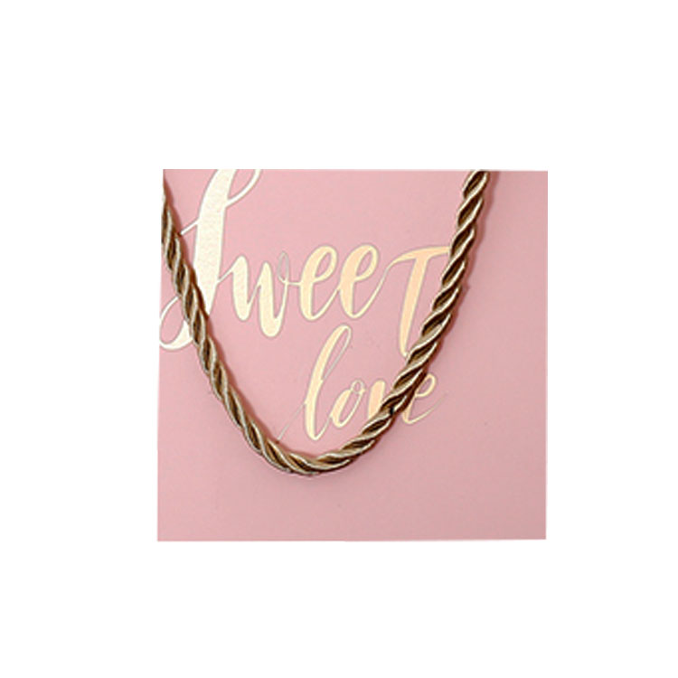 ribbon bowknot bag-4.jpg