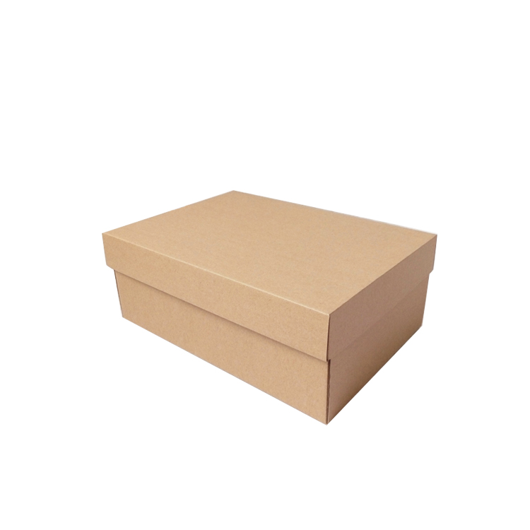 kraft paper shoe box-1.jpg