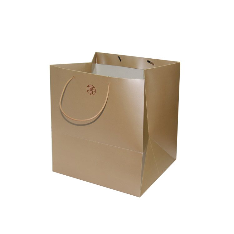 paper bag-4.jpg