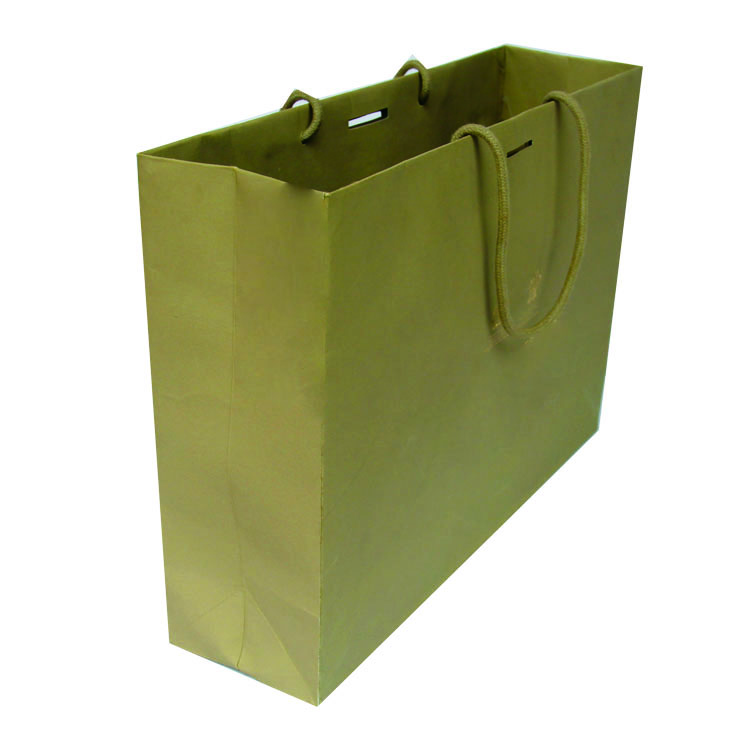 paper gift bag-1.jpg