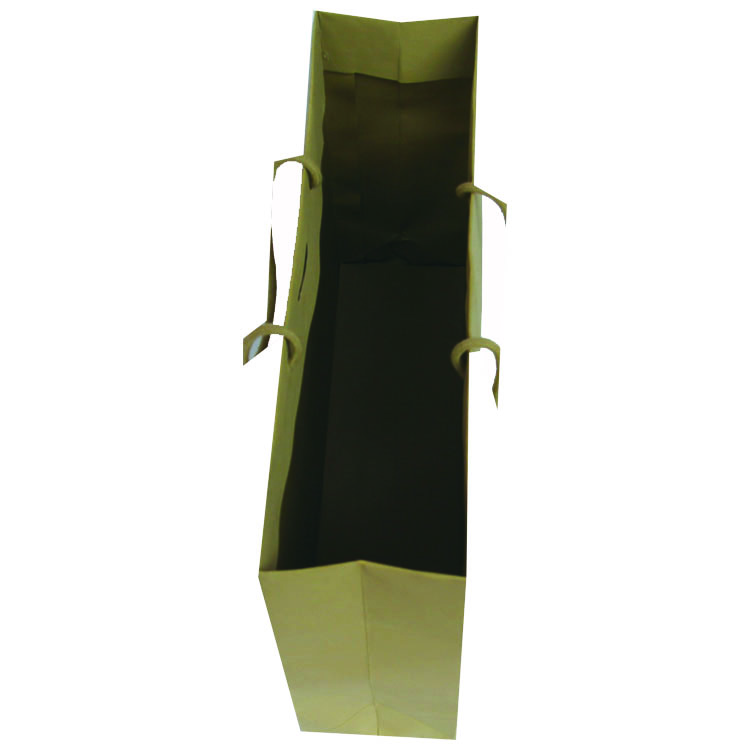 paper gift bag-4.jpg