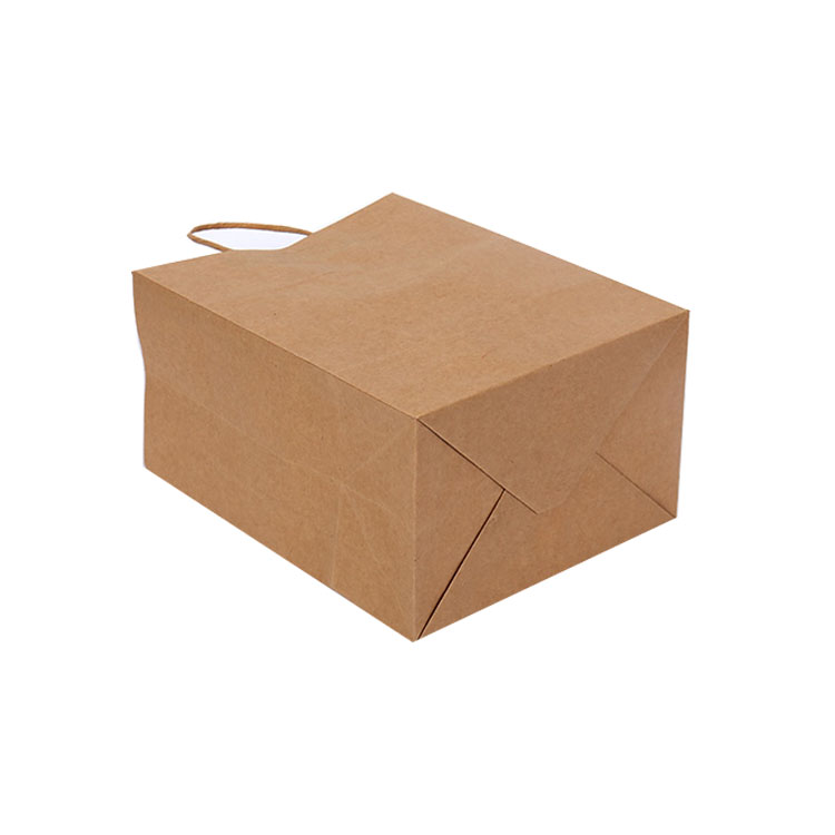 brown kraft shopping bag-2.jpg