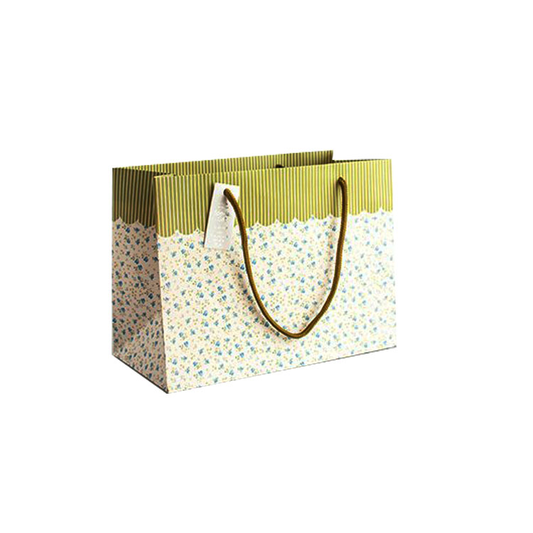 blue paper bag-5.jpg