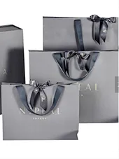 Shopping Gift Packaging Paper Bags