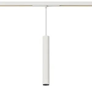 TL01 D40C Pendant 48V LV26 Track Light