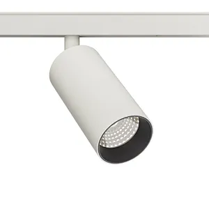 TL01 D55B 48V LV26 Track Light