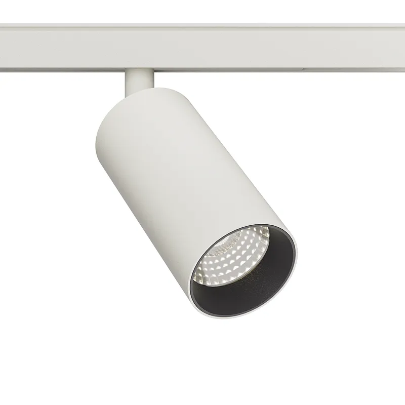 TL01 D55B 48V LV26 Track Light