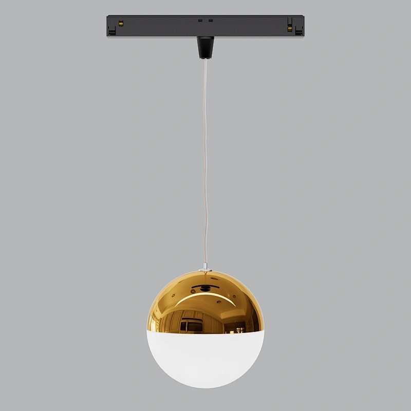 TL01 D100A Pendant 48V LV26 Track Light