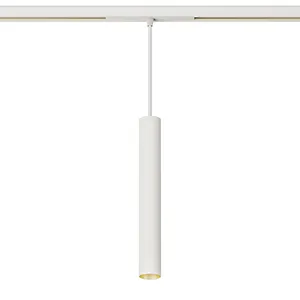 TL01 D40C Pendant 48V LV26 Track Light