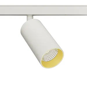 TL01 D55B 48V LV26 Track Light