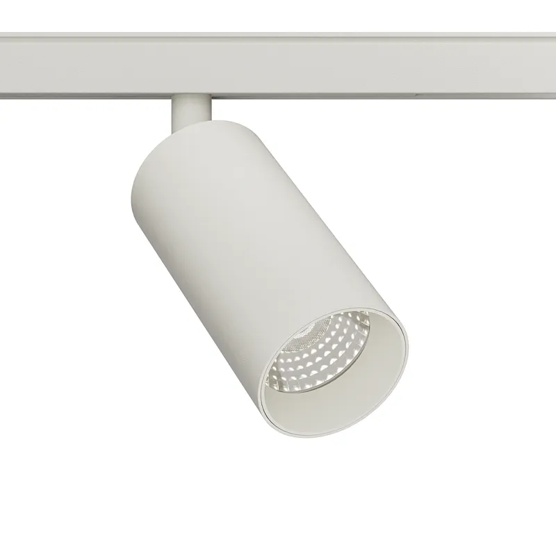 TL01 D55B 48V LV26 Track Light