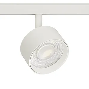 TL01 D90A 48V LV26 Track Light