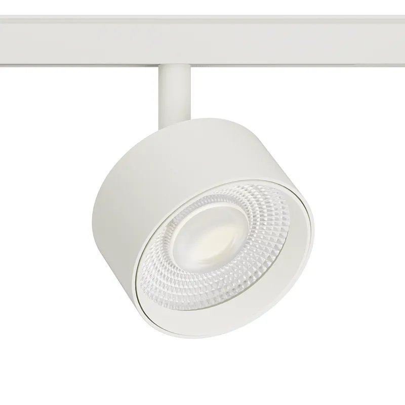 TL01 D90A 48V LV26 Track Light