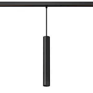 TL01 D40C Pendant 48V LV26 Track Light