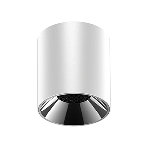DL03 Series Surface Mounted Downlight