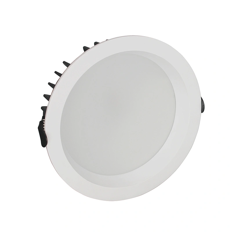 DL04 Series SMD Downlight