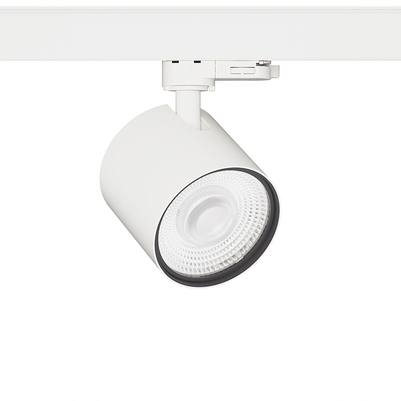 HYRO A2190L Fixed Lens: No-Dim, Triac Dim