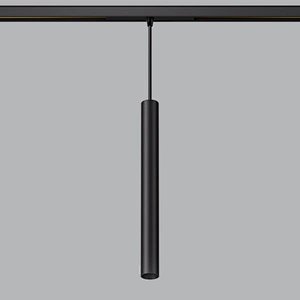 TL01 D30C Pendant 48V LV26 Track Light