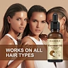 wholesale virgin coconut oil
fractionated coconut oil
extra virgin coconut oil