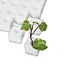 hydroponic sponge