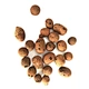 Expanded Clay Balls