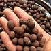 clay pebbles
