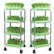 plastic flat tray for spourt