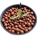 Growing Media Expanded Light Clay Pebbles Aggregate for Agriculture growing
