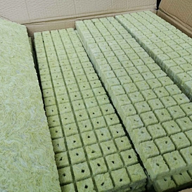 hydroponic farming use rockwool cubes