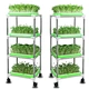 Micro Green home DIY seed tray home Seed Sprouts Tray