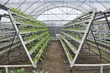 hydroponic channels nft pvc channel greenhouse hydroponic nft hydroponics nft channel upvc complete hydroponic nft channel grow