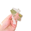 plastic heart shaped molds growing fruit mold hydroponic greenhouse